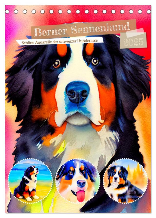 Berner Sennenhund 2025. Schöne Aquarelle der schweizer Hunderasse (Tischkalender 2025 DIN A5 hoch), CALVENDO Monatskalender