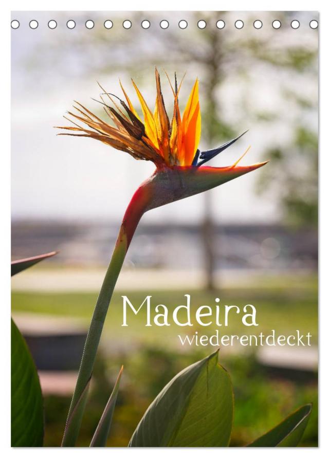 Madeira - wiederentdeckt (Tischkalender 2025 DIN A5 hoch), CALVENDO Monatskalender