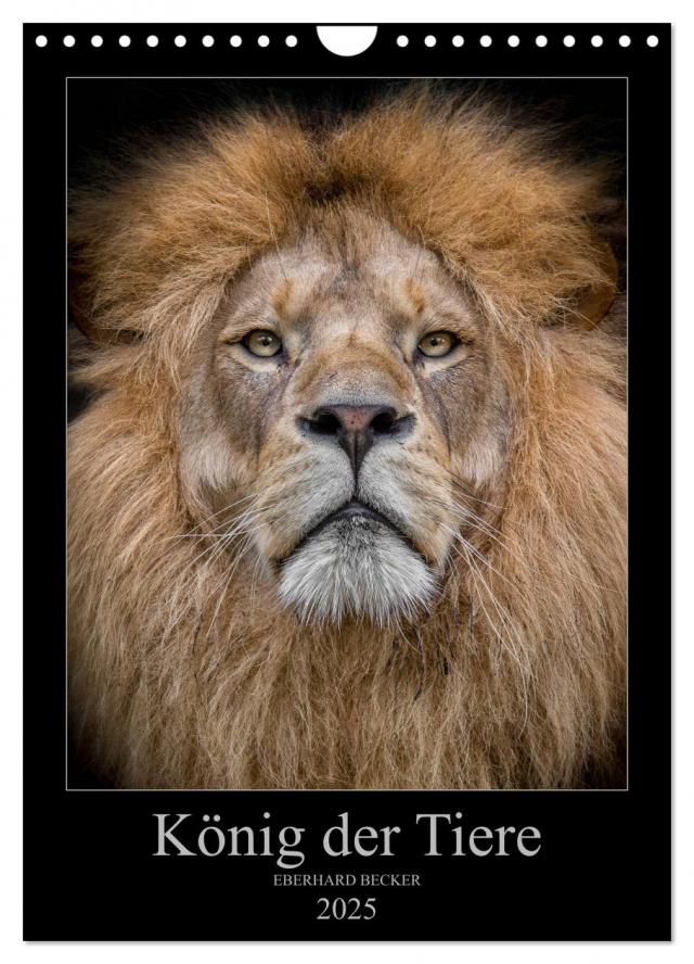 König der Tiere (Wandkalender 2025 DIN A4 hoch), CALVENDO Monatskalender