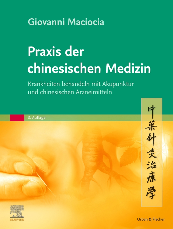 Praxis der chinesischen Medizin