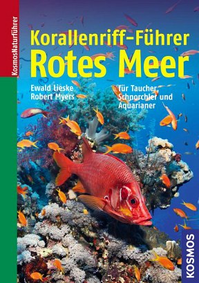 Korallenriff-Führer Rotes Meer