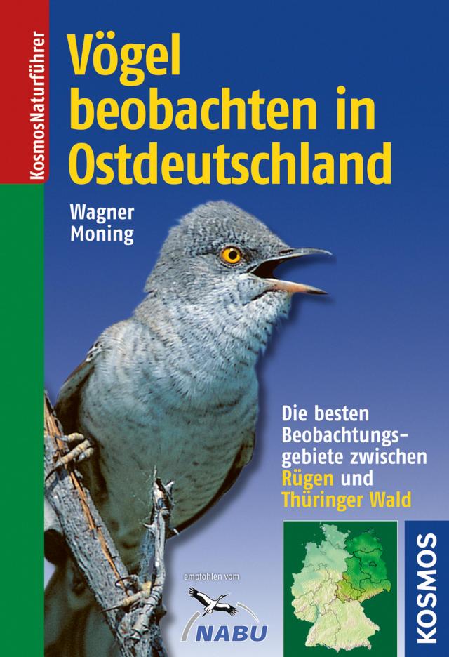 Vögel beobachten in Ostdeutschland