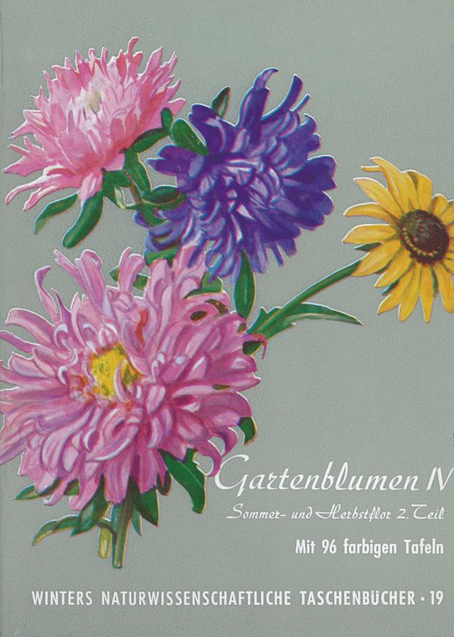Gartenblumen / Sommerflor II