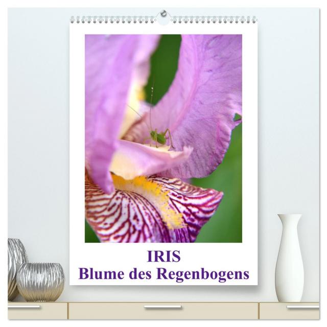 Iris, Blume des Regenbogens (hochwertiger Premium Wandkalender 2025 DIN A2 hoch), Kunstdruck in Hochglanz