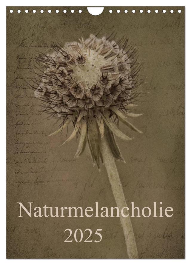 Naturmelancholie 2025 (Wandkalender 2025 DIN A4 hoch), CALVENDO Monatskalender