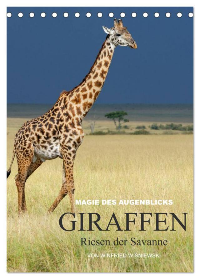 Magie des Augenblicks - Giraffen - Riesen der Savanne (Tischkalender 2025 DIN A5 hoch), CALVENDO Monatskalender