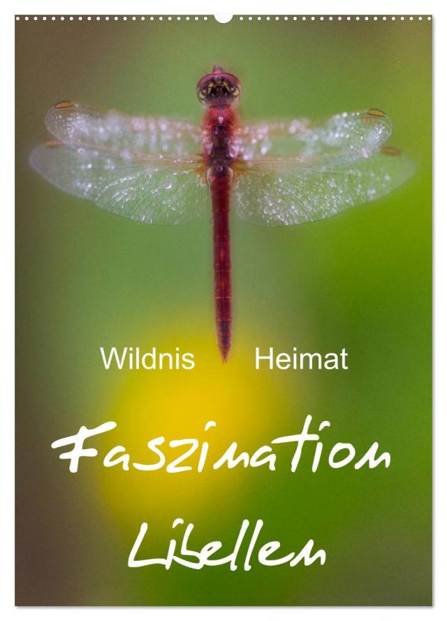 Faszination Libellen - Wildnis Heimat (Wandkalender 2025 DIN A2 hoch), CALVENDO Monatskalender