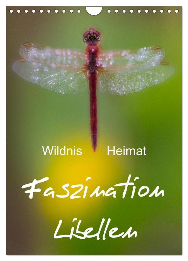 Faszination Libellen - Wildnis Heimat (Wandkalender 2025 DIN A4 hoch), CALVENDO Monatskalender
