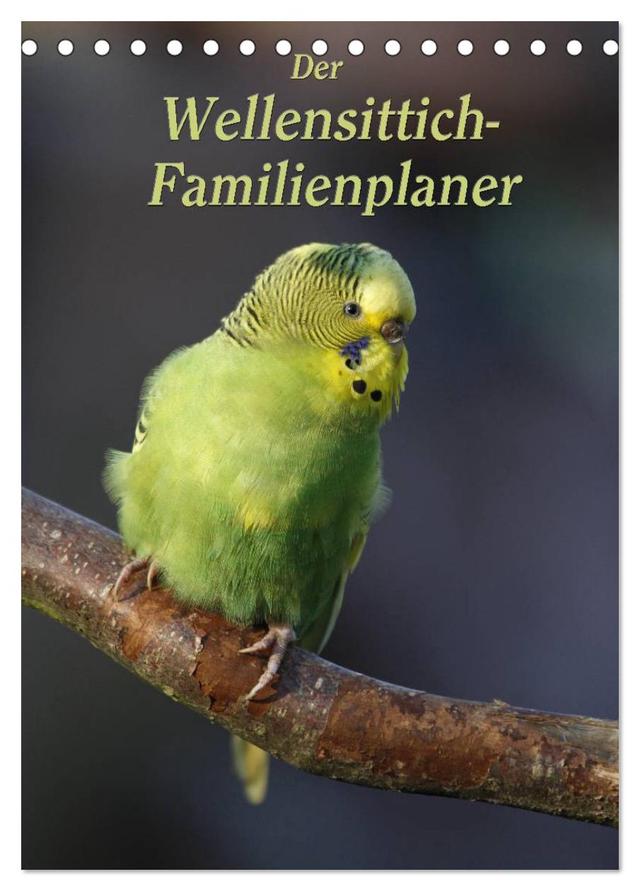 Der Wellensittich-Familienplaner (Tischkalender 2025 DIN A5 hoch), CALVENDO Monatskalender