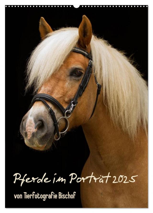 Pferde im Portait (Wandkalender 2025 DIN A2 hoch), CALVENDO Monatskalender