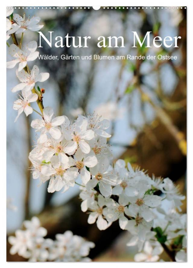 Natur am Meer - Wälder, Gärten und Blumen am Rande der Ostsee (Wandkalender 2025 DIN A2 hoch), CALVENDO Monatskalender