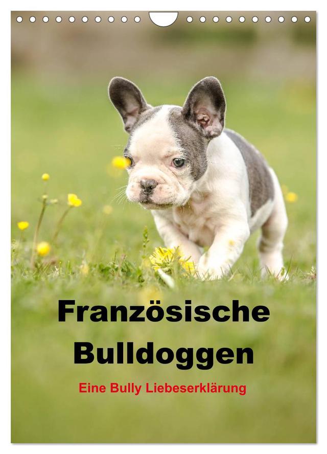 Französische Bulldoggen - Eine Bully Liebeserkärung (Wandkalender 2025 DIN A4 hoch), CALVENDO Monatskalender