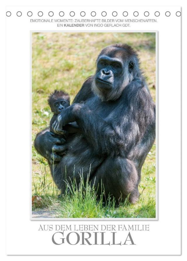 Emotionale Momente: Aus dem Leben der Familie Gorilla. (Tischkalender 2025 DIN A5 hoch), CALVENDO Monatskalender