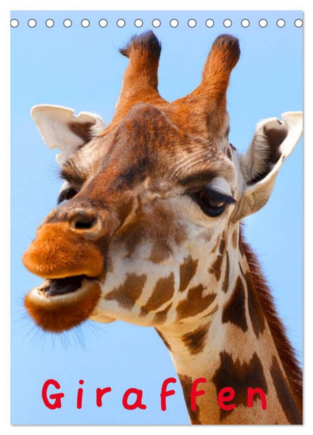 Giraffen (Tischkalender 2025 DIN A5 hoch), CALVENDO Monatskalender