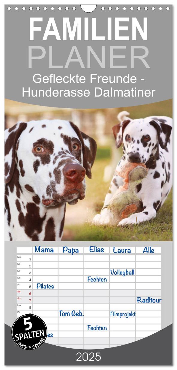 Familienplaner 2025 - Gefleckte Freunde - Hunderasse Dalmatiner mit 5 Spalten (Wandkalender, 21 x 45 cm) CALVENDO
