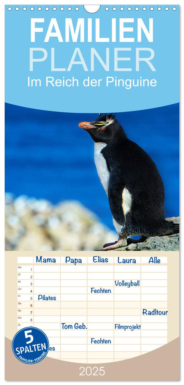 Familienplaner 2025 - Im Reich der Pinguine mit 5 Spalten (Wandkalender, 21 x 45 cm) CALVENDO