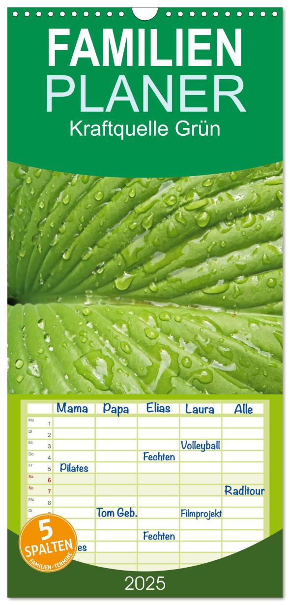 Familienplaner 2025 - Kraftquelle Grün mit 5 Spalten (Wandkalender, 21 x 45 cm) CALVENDO