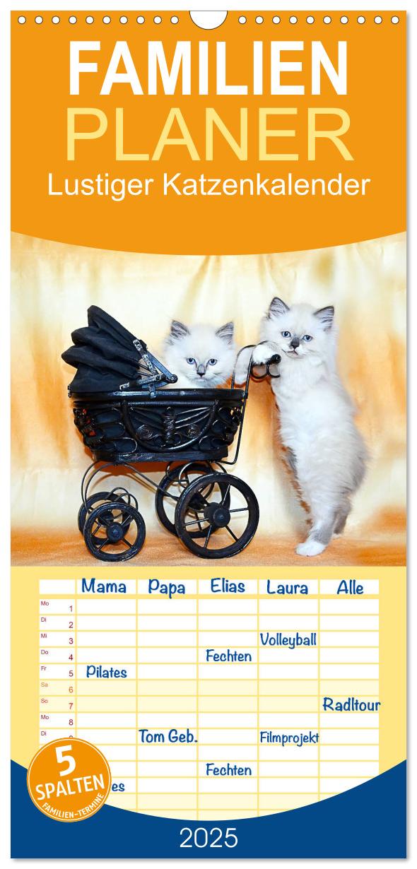 Familienplaner 2025 - Lustiger Katzenkalender mit 5 Spalten (Wandkalender, 21 x 45 cm) CALVENDO