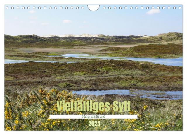 Vielfältiges Sylt - Mehr als Strand (Wandkalender 2025 DIN A4 quer), CALVENDO Monatskalender