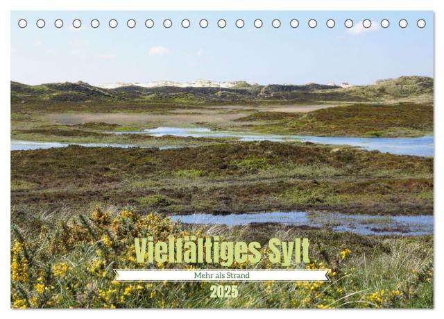 Vielfältiges Sylt - Mehr als Strand (Tischkalender 2025 DIN A5 quer), CALVENDO Monatskalender