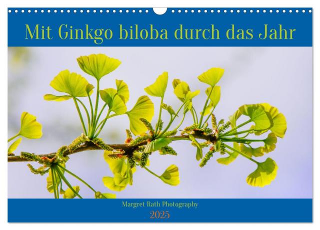 Ginkgo in meinem Garten (Wandkalender 2025 DIN A3 quer), CALVENDO Monatskalender