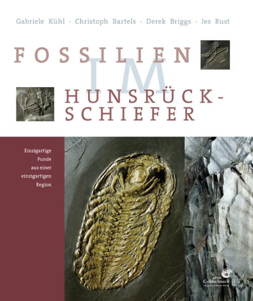 Fossilien im Hunsrück-Schiefer