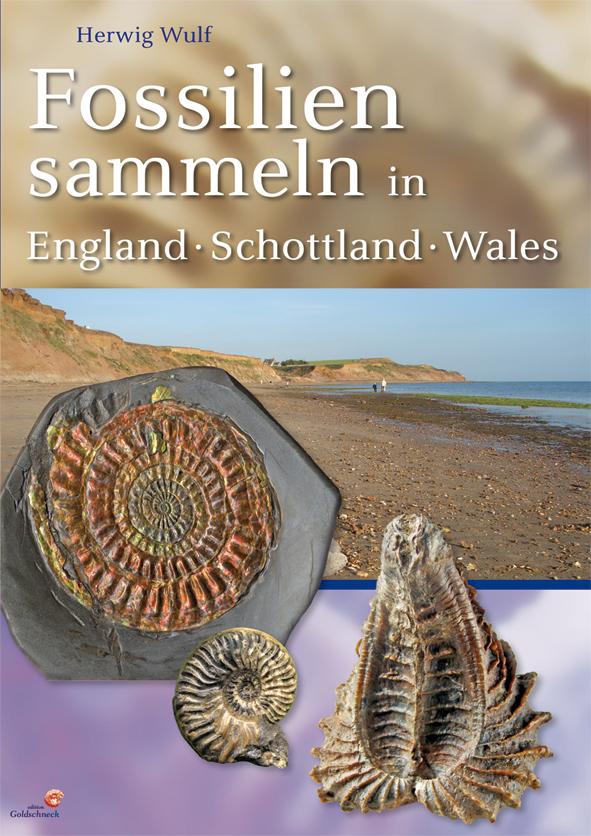 Fossilien sammeln in England - Wales - Schottland