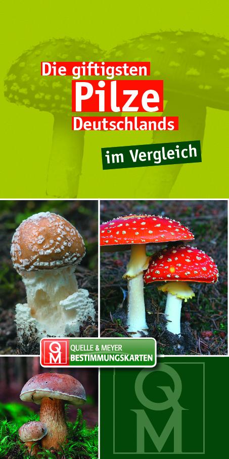 Die giftigsten Pilze Deutschlands im Vergleich