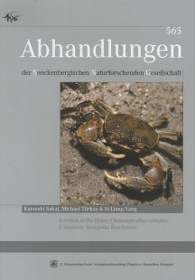 Revision of the Helice /Chasmagnathus complex (Crustacea: Decapoda:Brachyura)