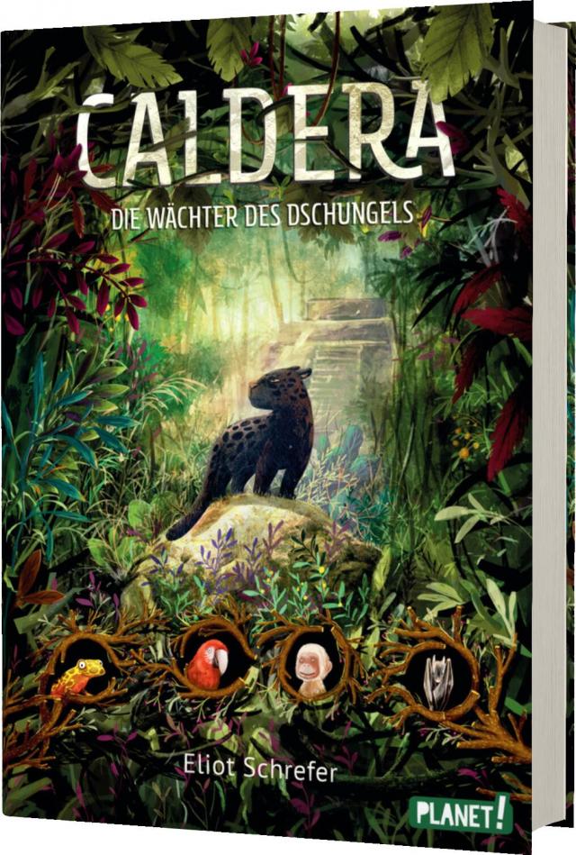 Caldera: Die Wächter des Dschungels (Bd. 1)