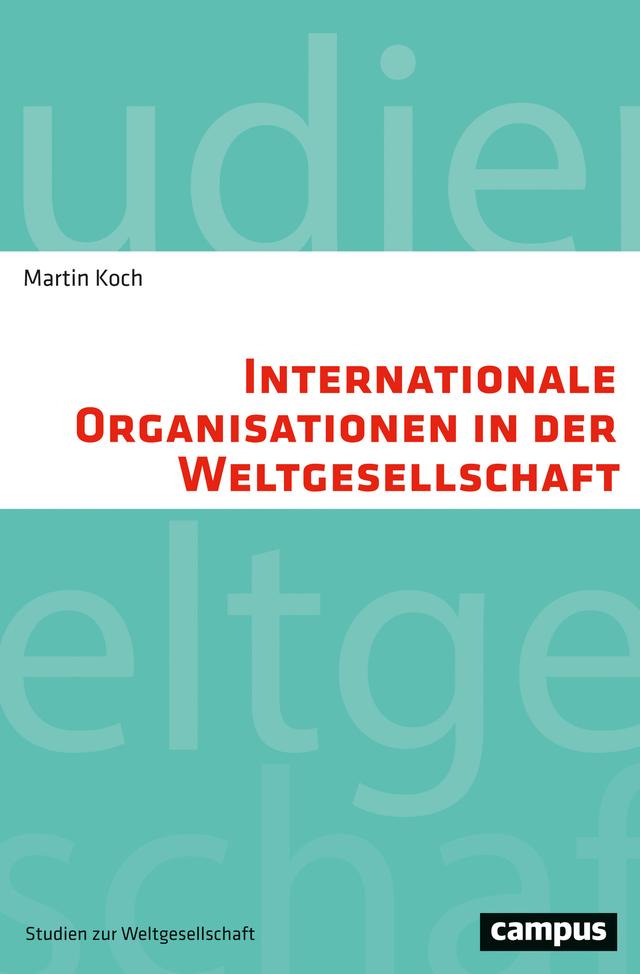 Internationale Organisationen in der Weltgesellschaft
