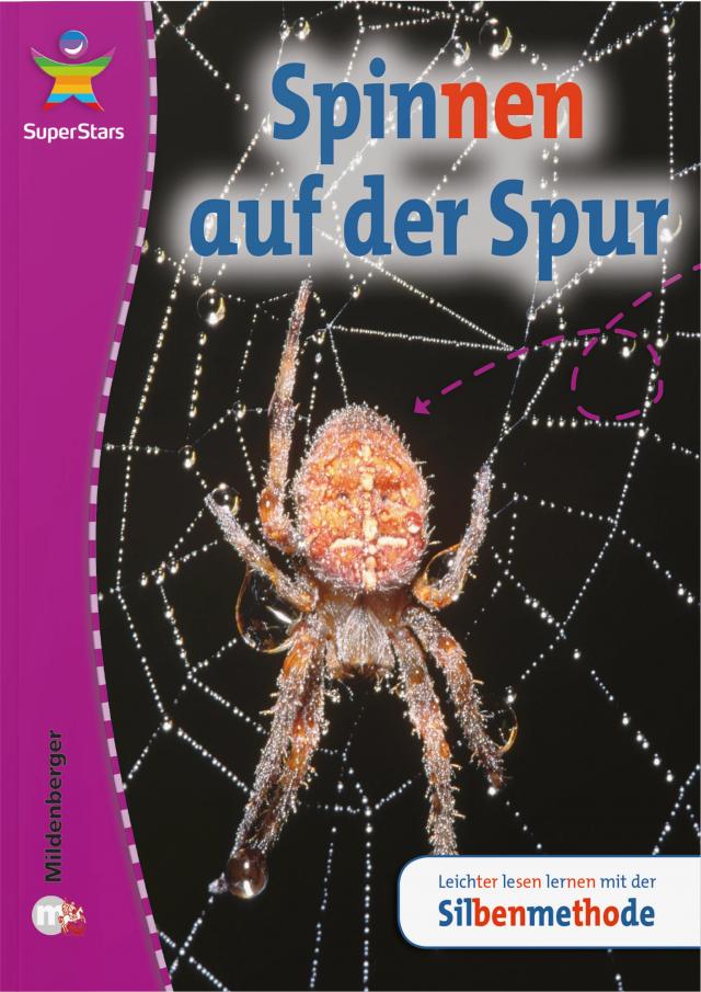 SuperStars: Spinnen auf der Spur