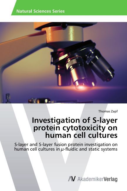 Investigation of S-layer protein cytotoxicity on human cell cultures