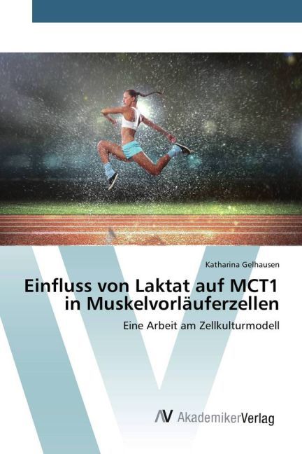 Einfluss von Laktat auf MCT1 in Muskelvorläuferzellen