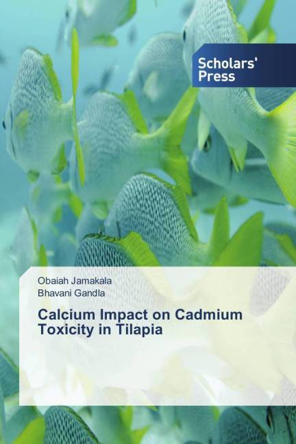 Calcium Impact on Cadmium Toxicity in Tilapia