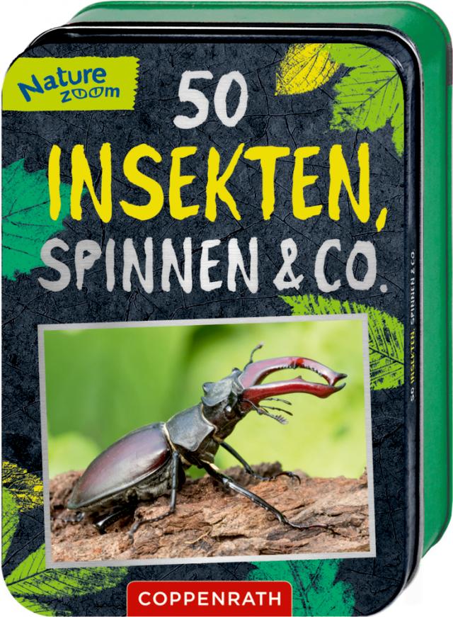 50 Insekten Spinnen & Co Nature Zoom