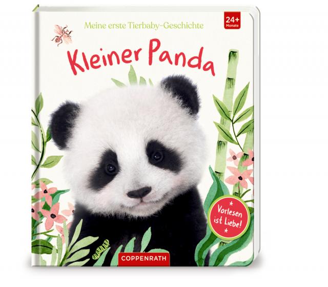 Meine erste Tierbaby Geschichte: kl Panda