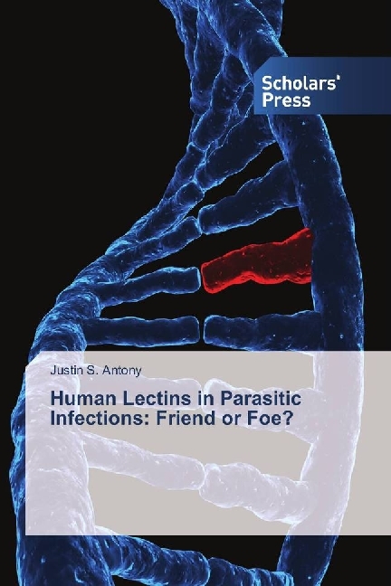 Human Lectins in Parasitic Infections: Friend or Foe?