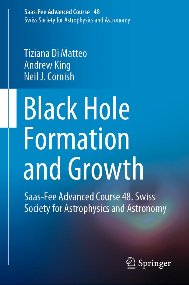 Black Hole Formation and Growth