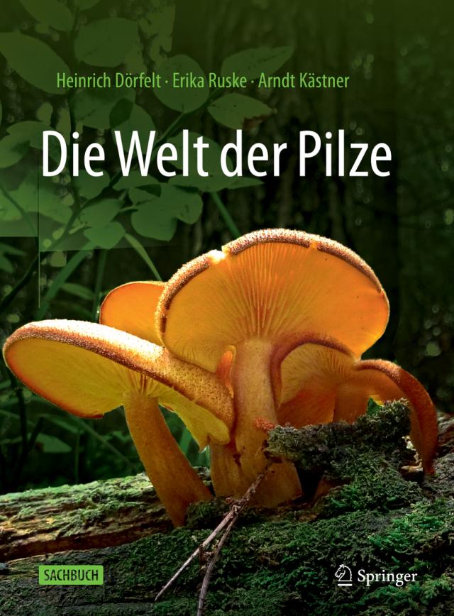 Die Welt der Pilze