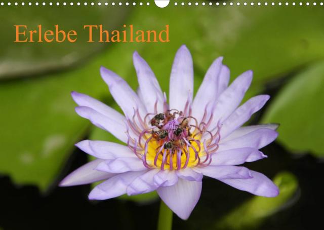 Erlebe Thailand (Wandkalender 2022 DIN A3 quer)