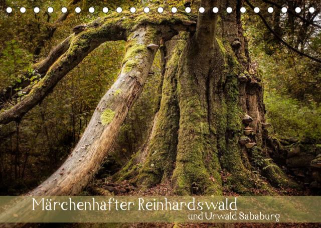 Märchenhafter Reinhardswald und Urwald Sababurg (Tischkalender 2022 DIN A5 quer)