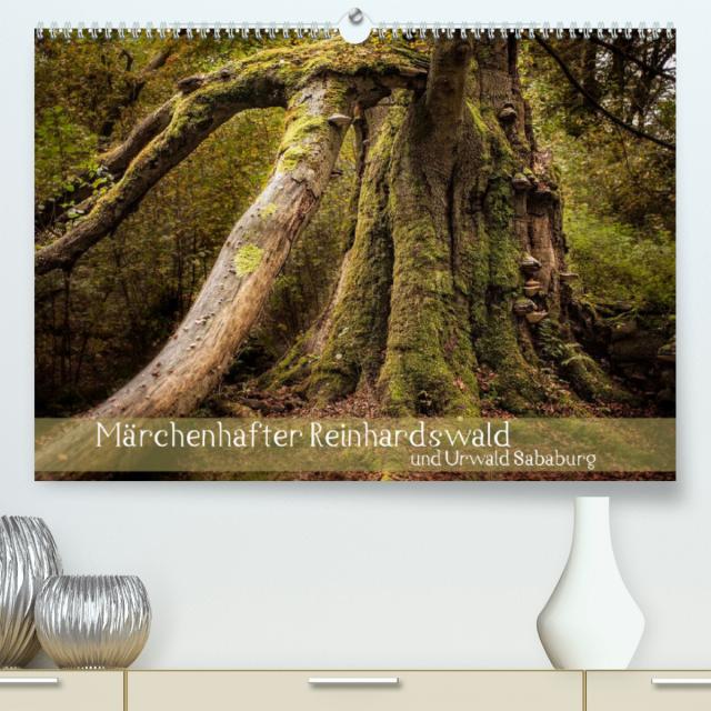 Märchenhafter Reinhardswald und Urwald Sababurg (Premium, hochwertiger DIN A2 Wandkalender 2022, Kunstdruck in Hochglanz)