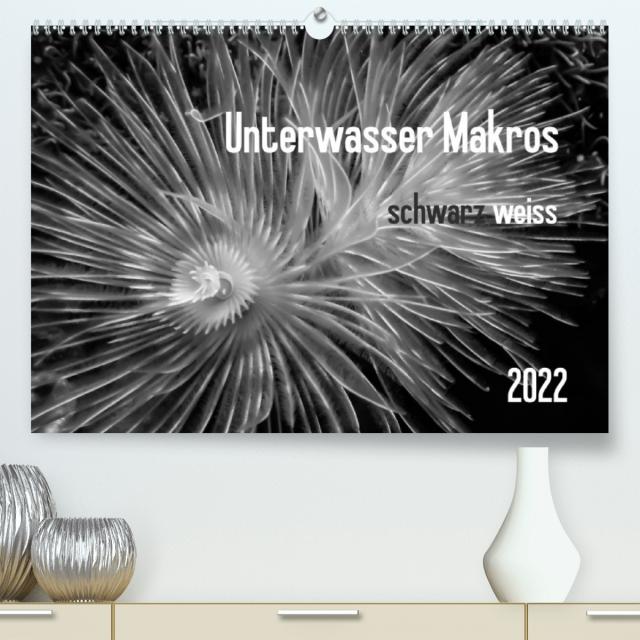 Unterwasser Makros - schwarz weiss 2022 (Premium, hochwertiger DIN A2 Wandkalender 2022, Kunstdruck in Hochglanz)