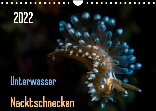 Unterwasser - Nacktschnecken 2022 (Wandkalender 2022 DIN A4 quer)