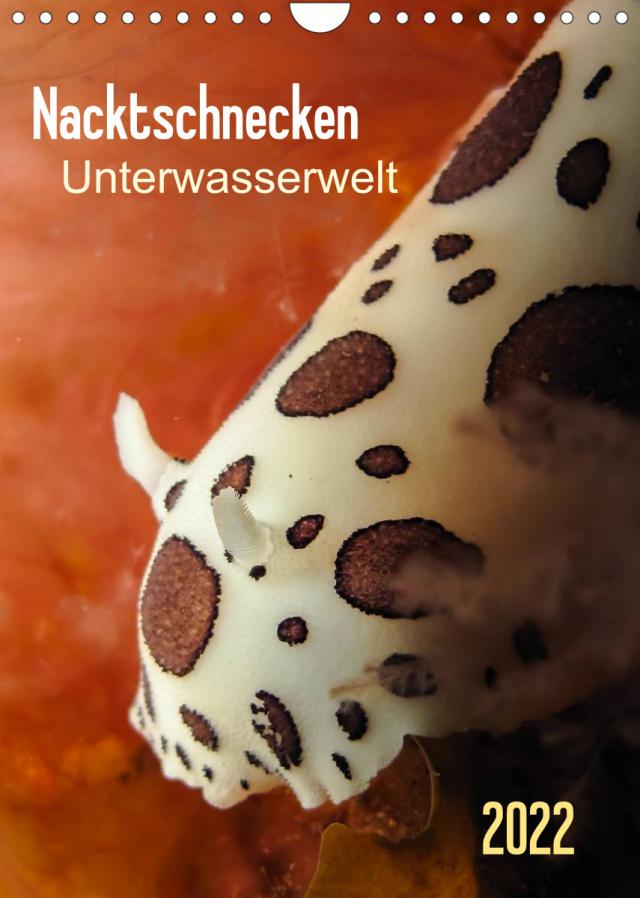 Nacktschnecken - Unterwasserwelt 2022 (Wandkalender 2022 DIN A4 hoch)
