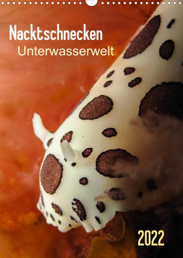 Nacktschnecken - Unterwasserwelt 2022 (Wandkalender 2022 DIN A3 hoch)