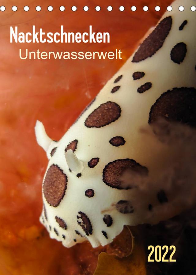 Nacktschnecken - Unterwasserwelt 2022 (Tischkalender 2022 DIN A5 hoch)