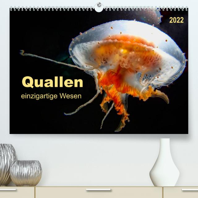 Quallen - einzigartige Wesen (Premium, hochwertiger DIN A2 Wandkalender 2022, Kunstdruck in Hochglanz)