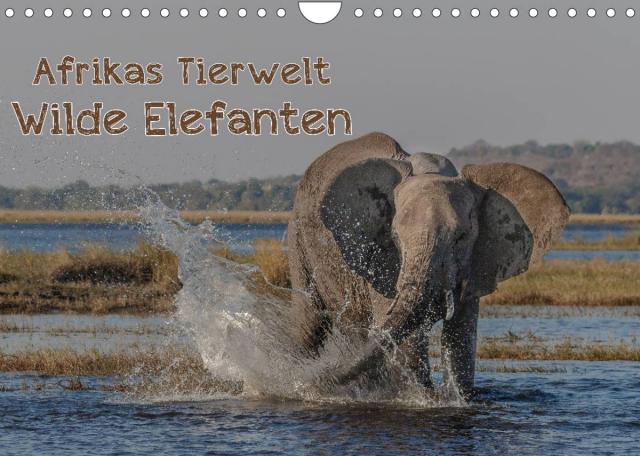 Afrikas Tierwelt - Wilde Elefanten (Wandkalender 2022 DIN A4 quer)